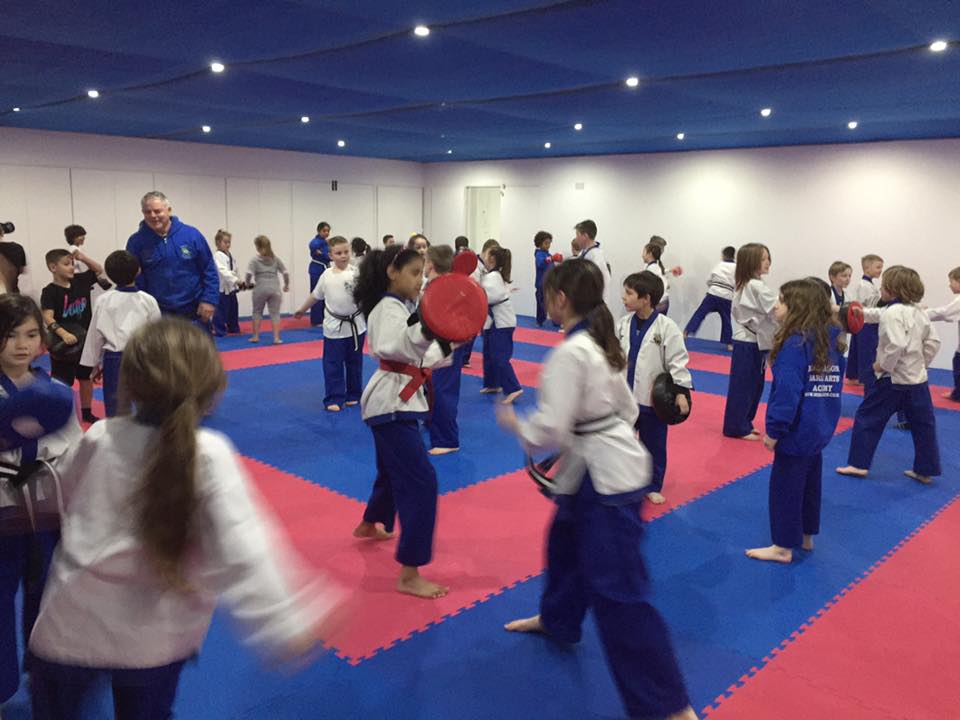 Ninja Dragons Martial Arts Academy Facebook