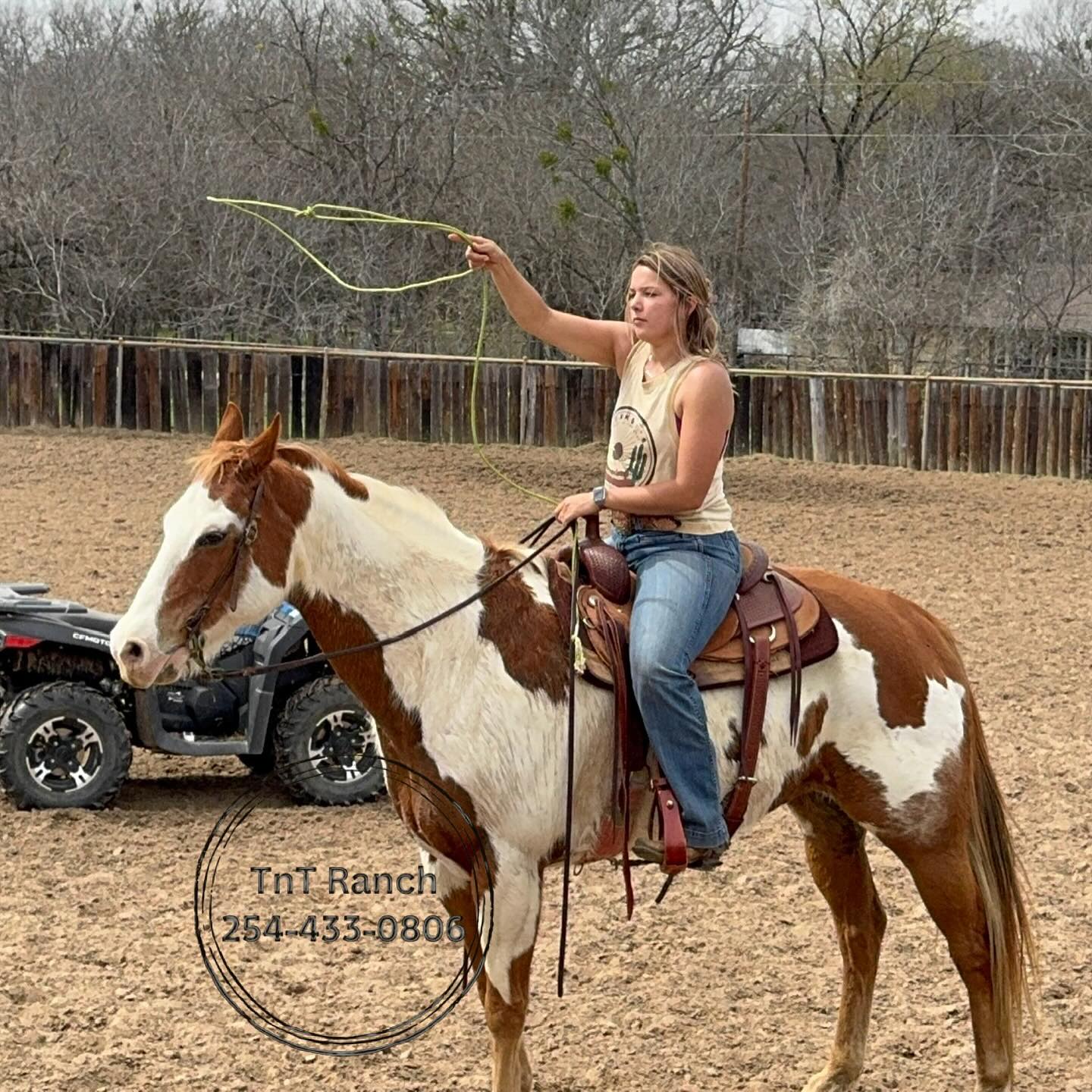 TnT Ranch & Tom Davis... - TnT Ranch & Tom Davis Horsemanship