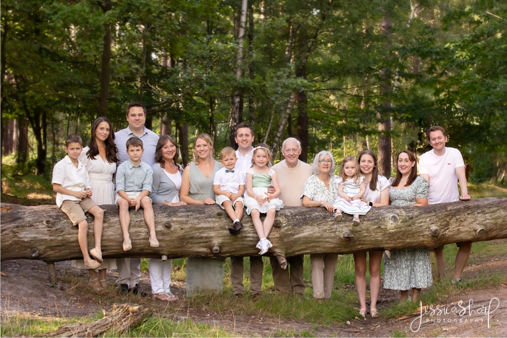 sage green dress family photos Matching Outfits: and White excludefrom10