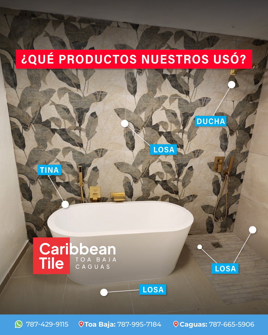 Caribbean Tile | Toa Baja