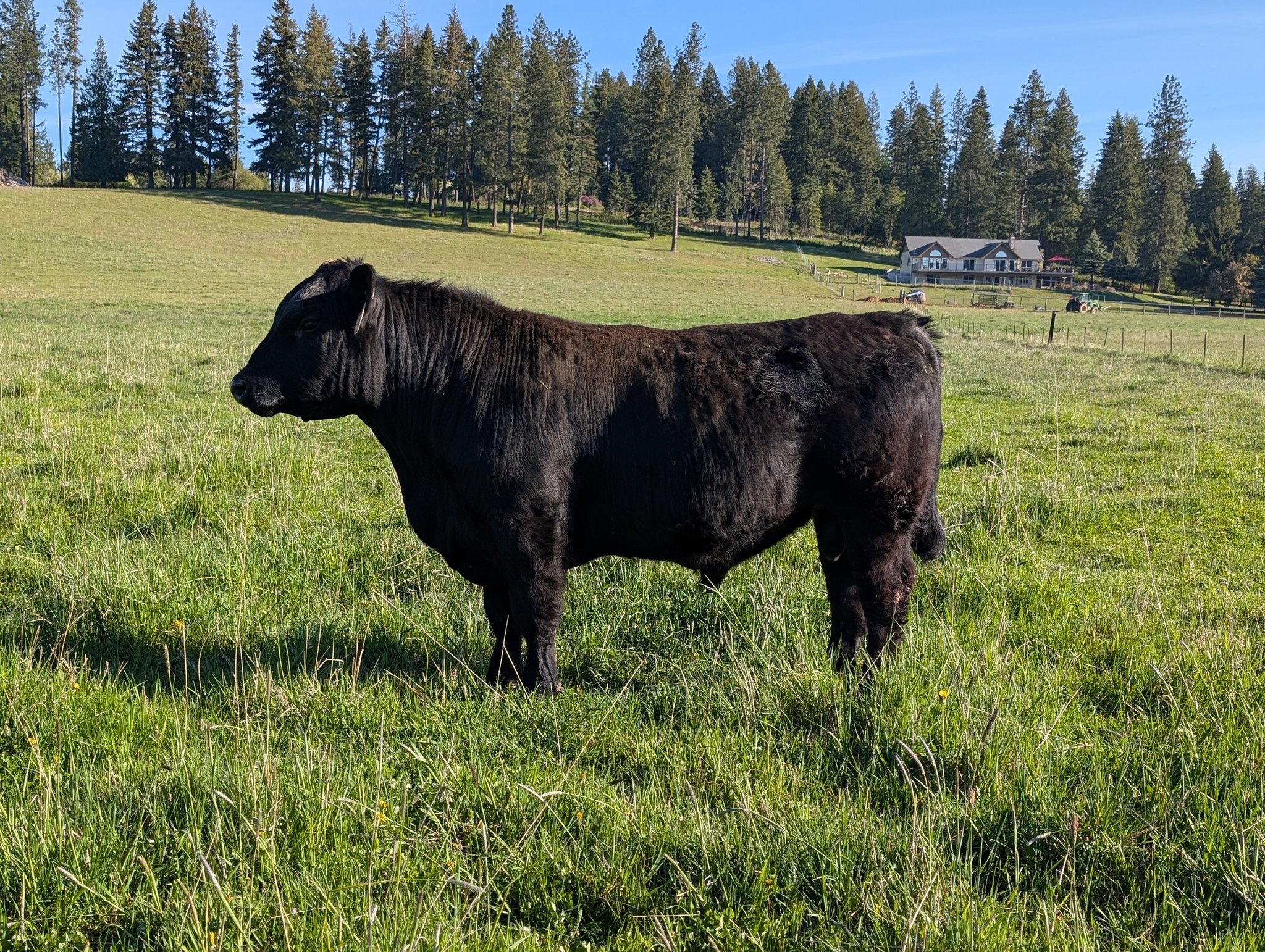 Effertz EZ Ranch