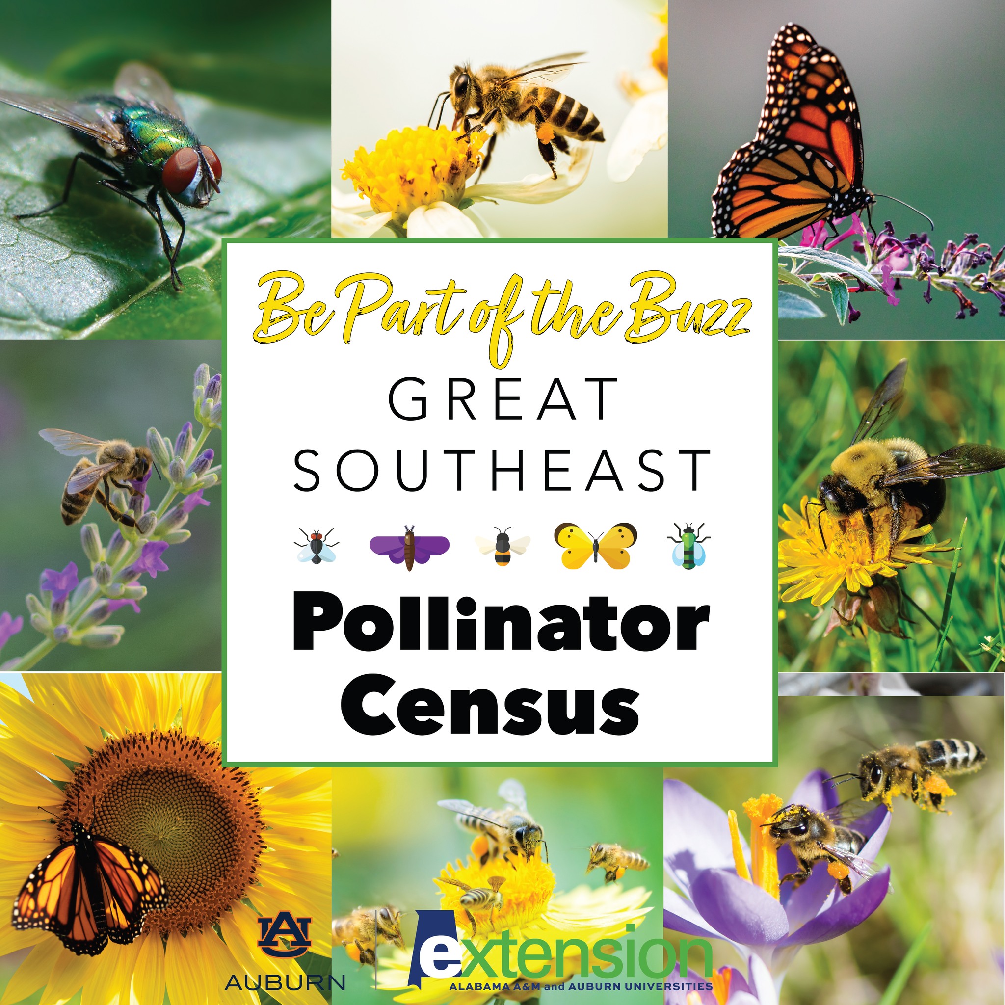 Alabama - Be Part of the Buzz! Bees, butterflies, moths, wasps—they’re ...