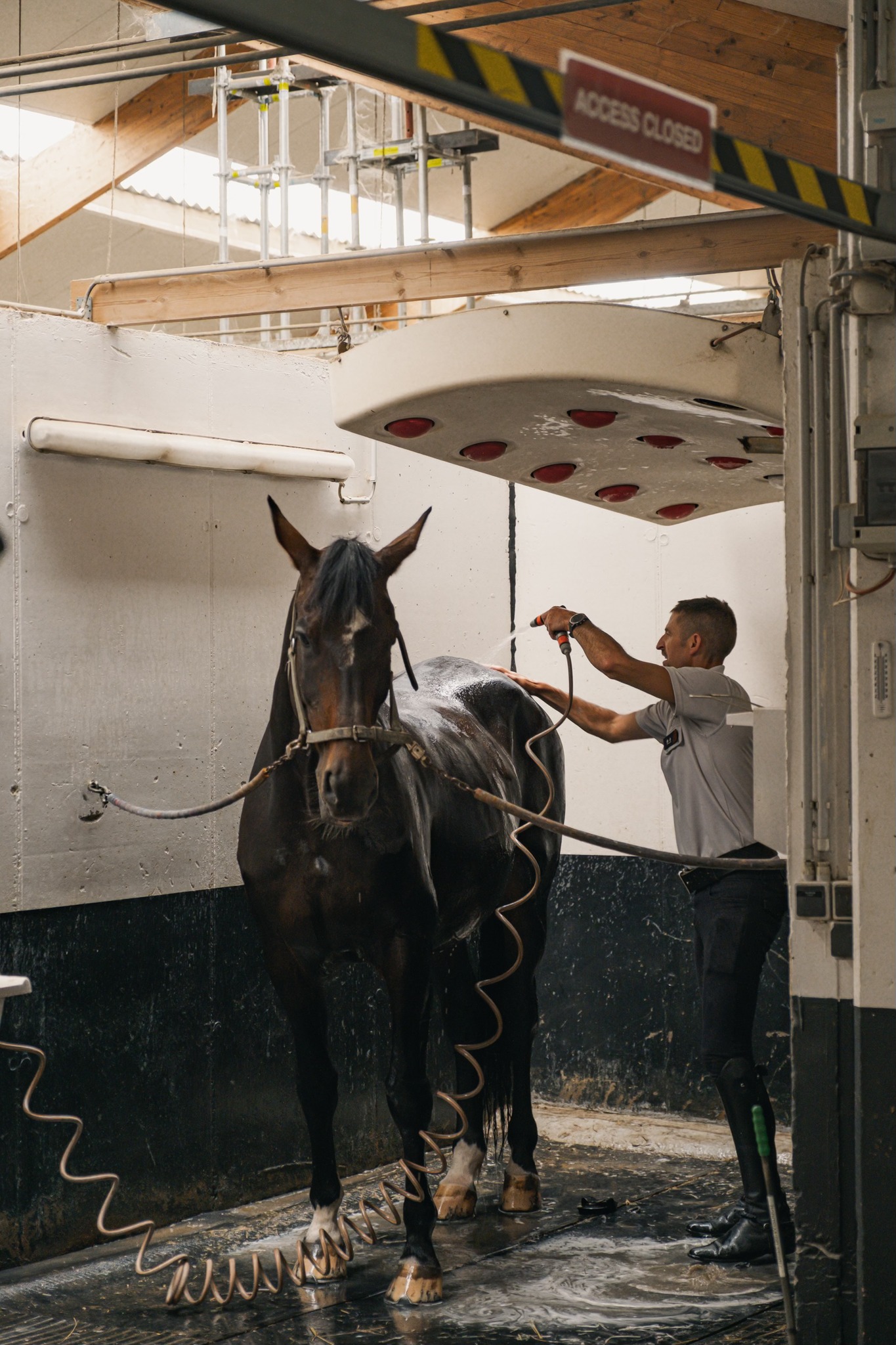 Belgian Federal Mounted Police - Politie te paard - Police à cheval ...