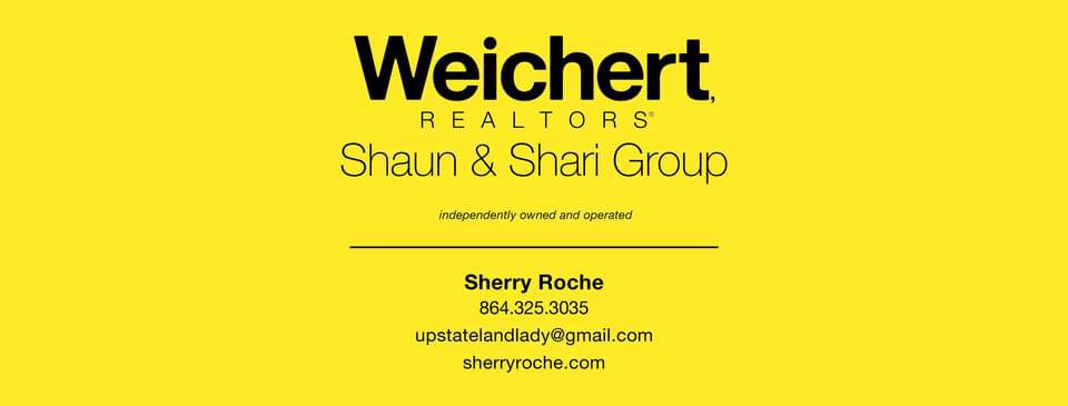 Sherry Roche Realtor | Downtown Greenville SC