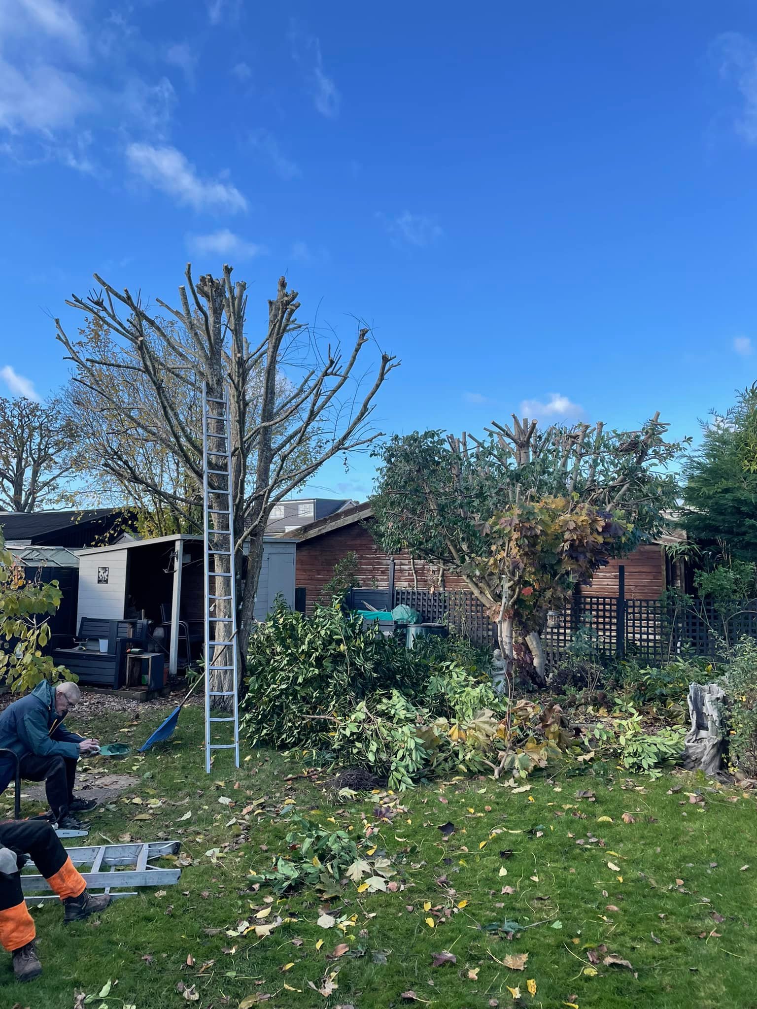 Pinewood Tree Surgery and Fencing | Yateley