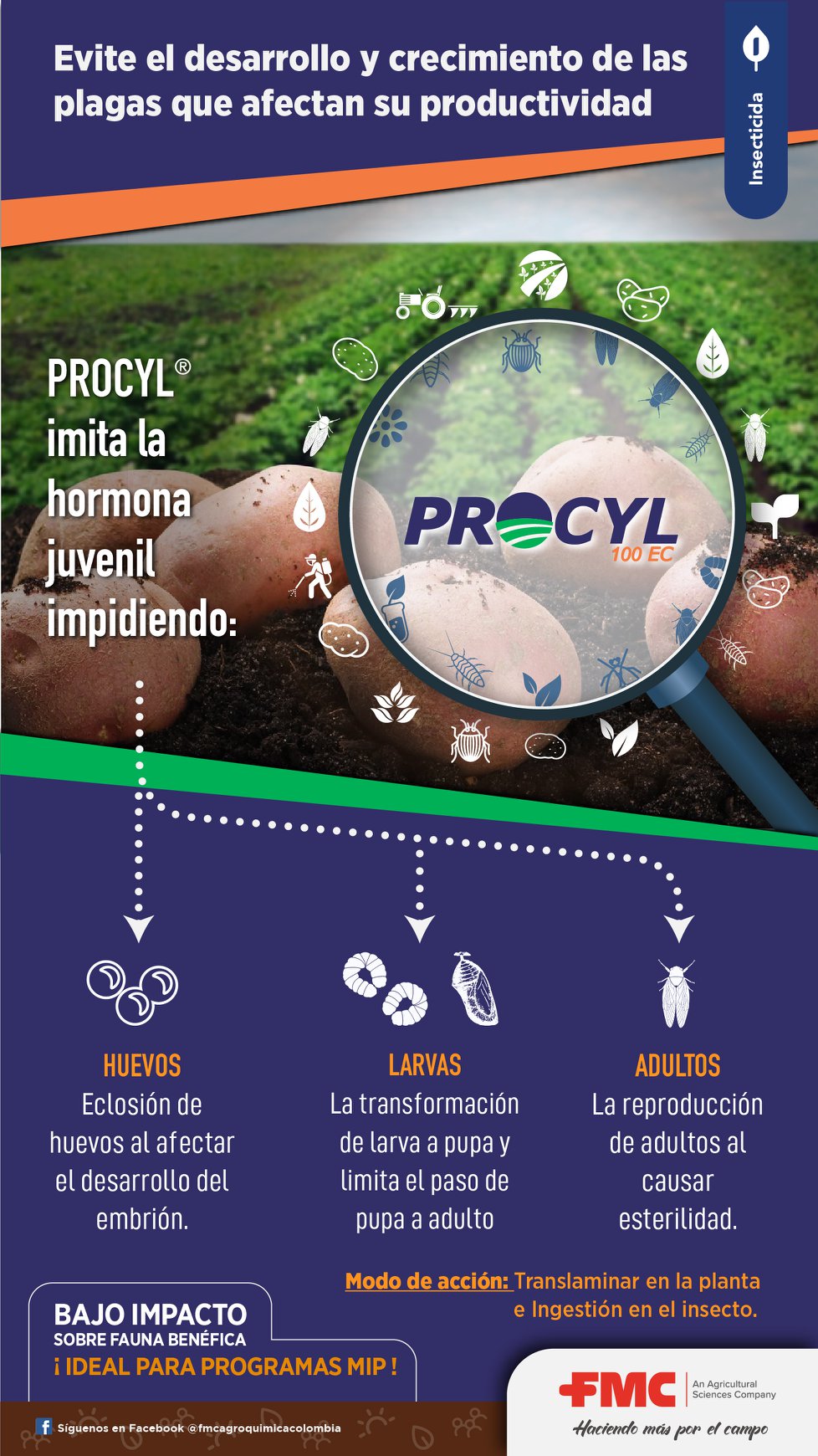 FMC Colombia - Con Procyl, controle huevos, larvas y... | Facebook