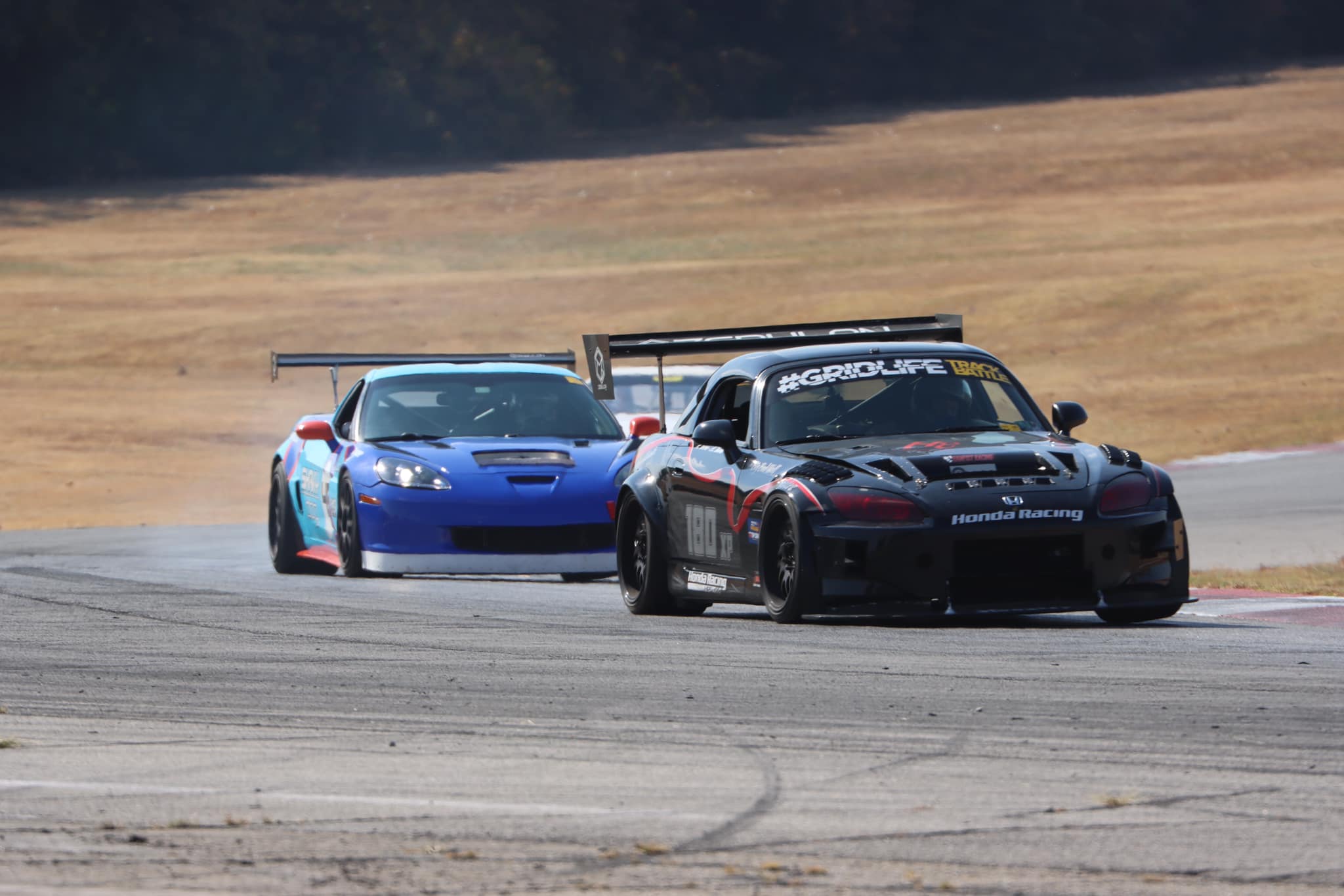 Shaky Dog Racing