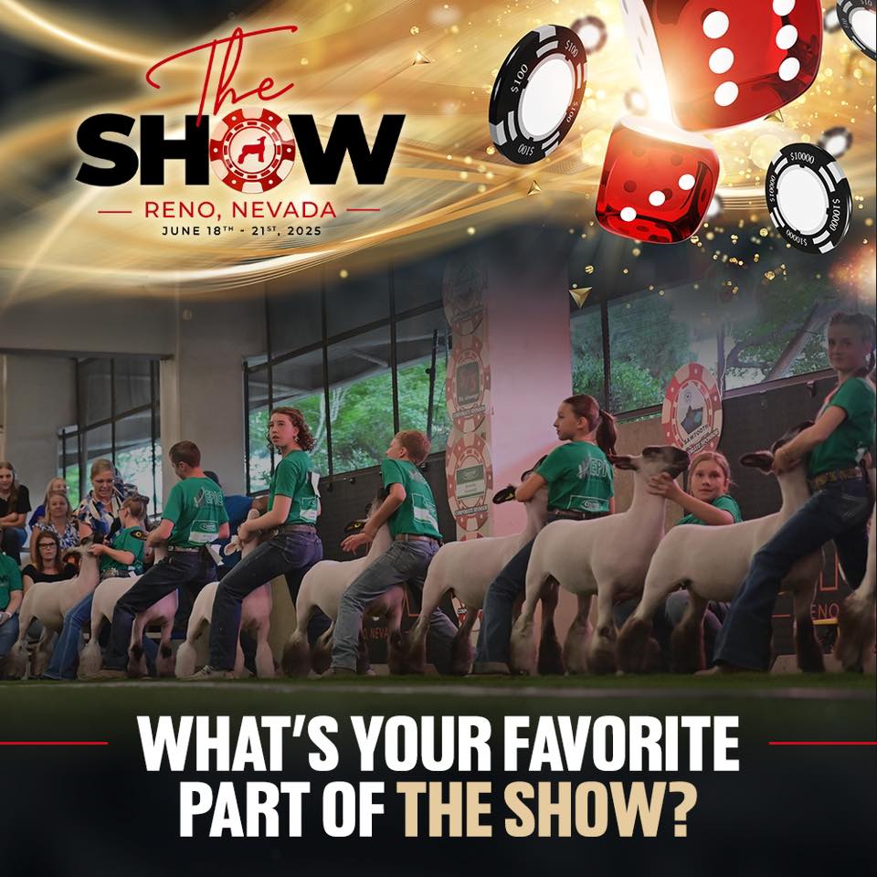 The Show Reno | Reno NV
