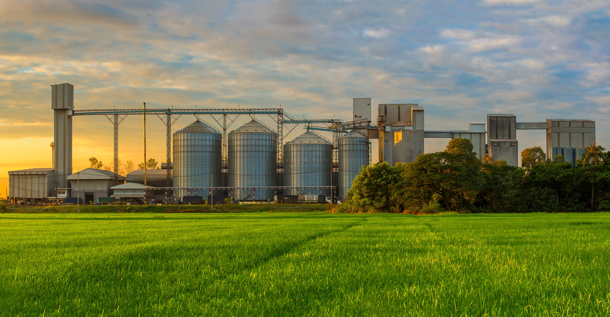 Agrisol Kft - Home