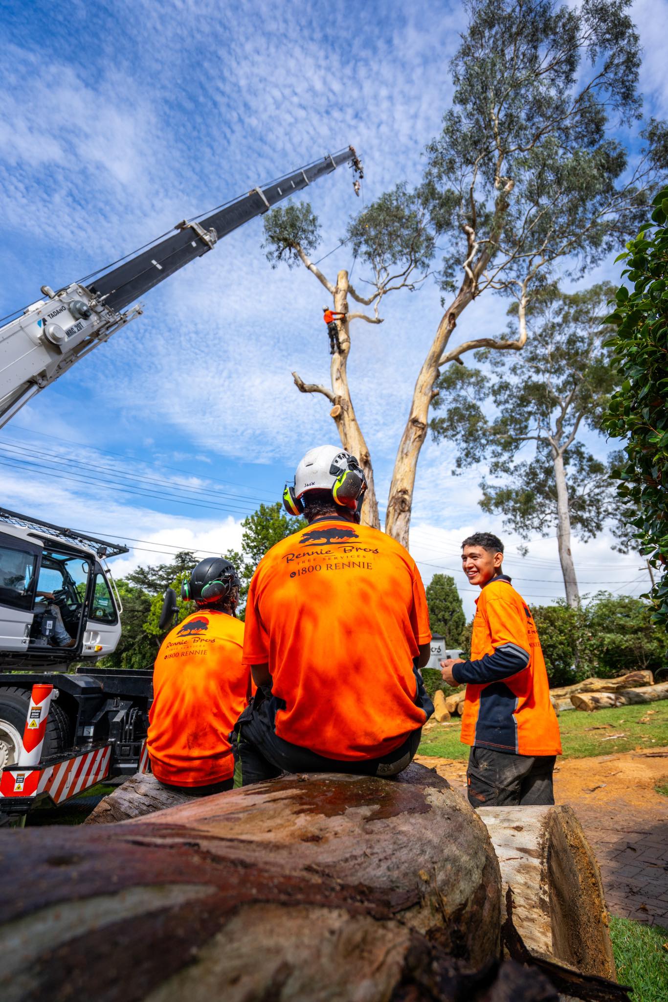 Rennie Bros Tree Services | Sydney NSW