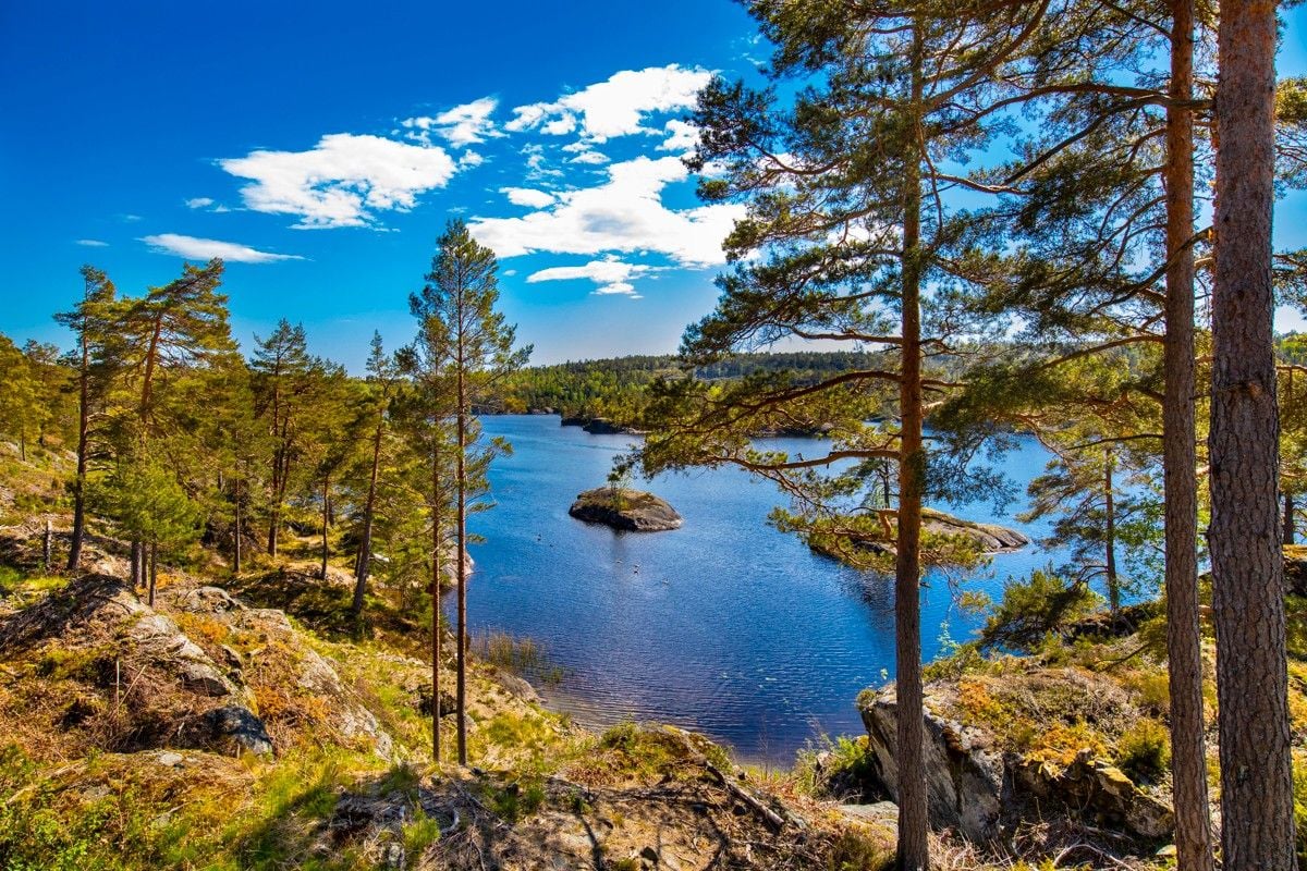 Okseliene Hyttefelt- Indre Risør Skjærgård As | Risør