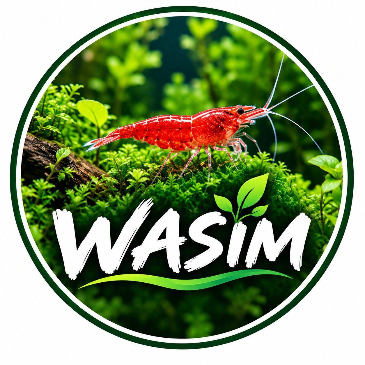 How can I protect myself from these insects? | WASIM