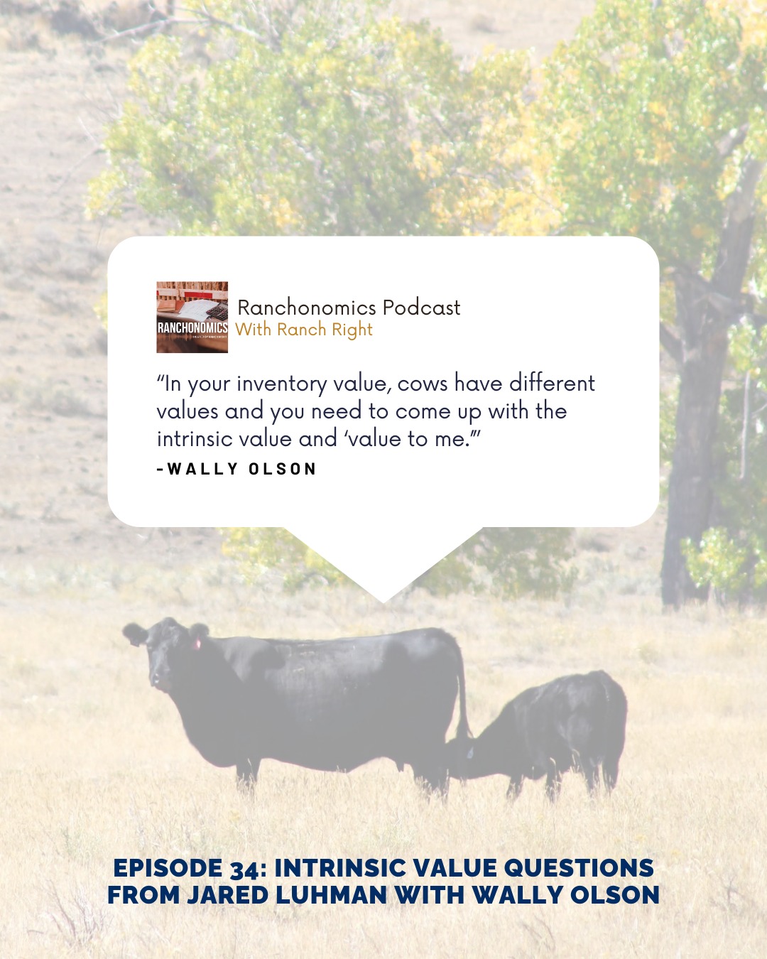 Ranch Right LLC