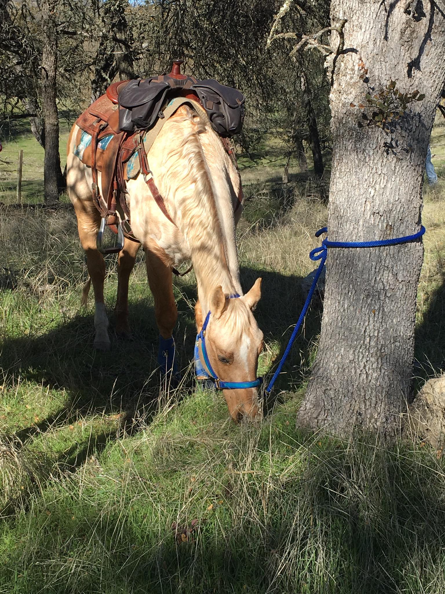 Flying Flower Ranch, LLC | Bend OR