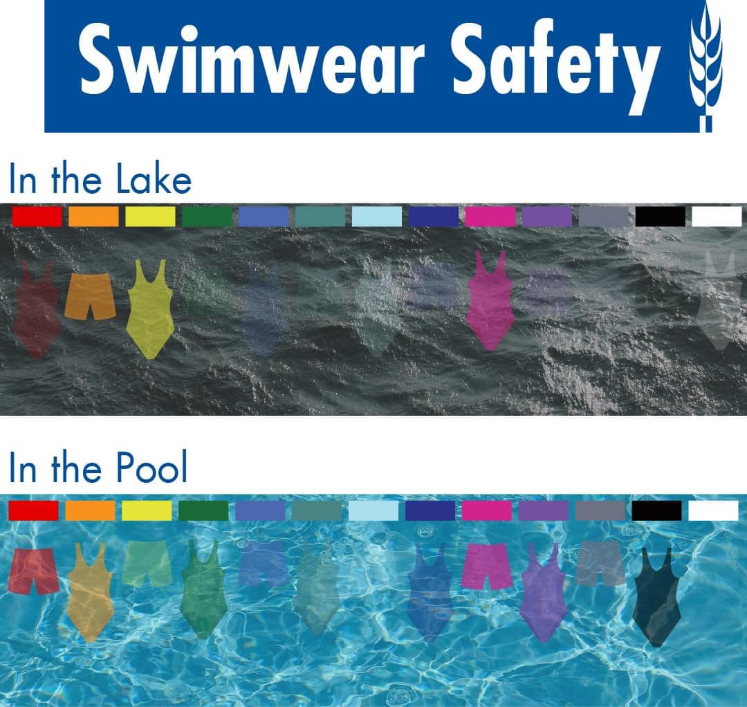Cinelli Pools, Inc.