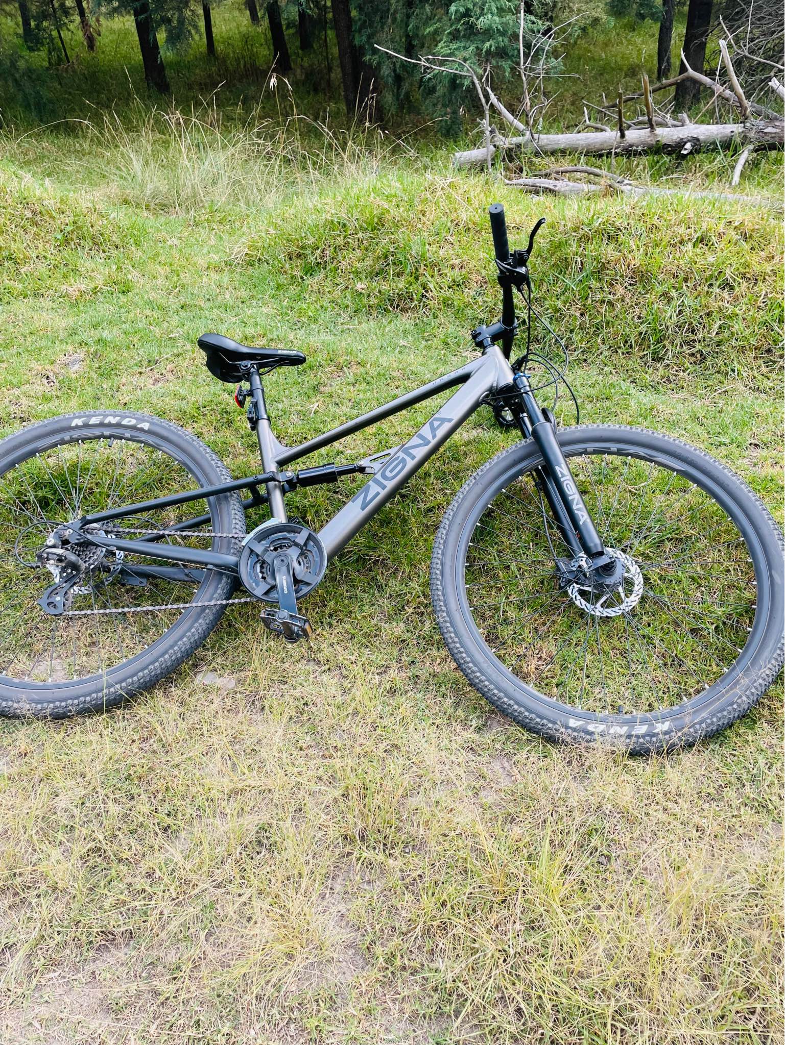 Vendo bicicleta zigna hadar R29 - Bicycles - Toluca, Mexico | Facebook ...