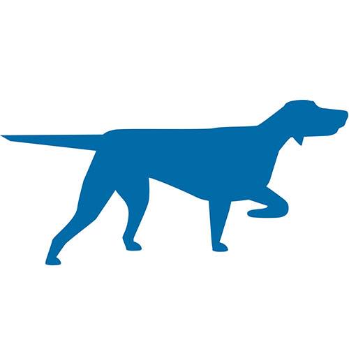 Transportation Insight Parcel Solutions Powered by BirdDog | Austin TX