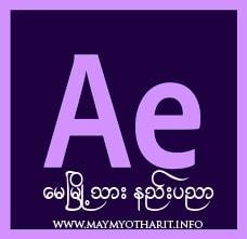 ကွန်ပျူတာ ဆော့ဝဲများ