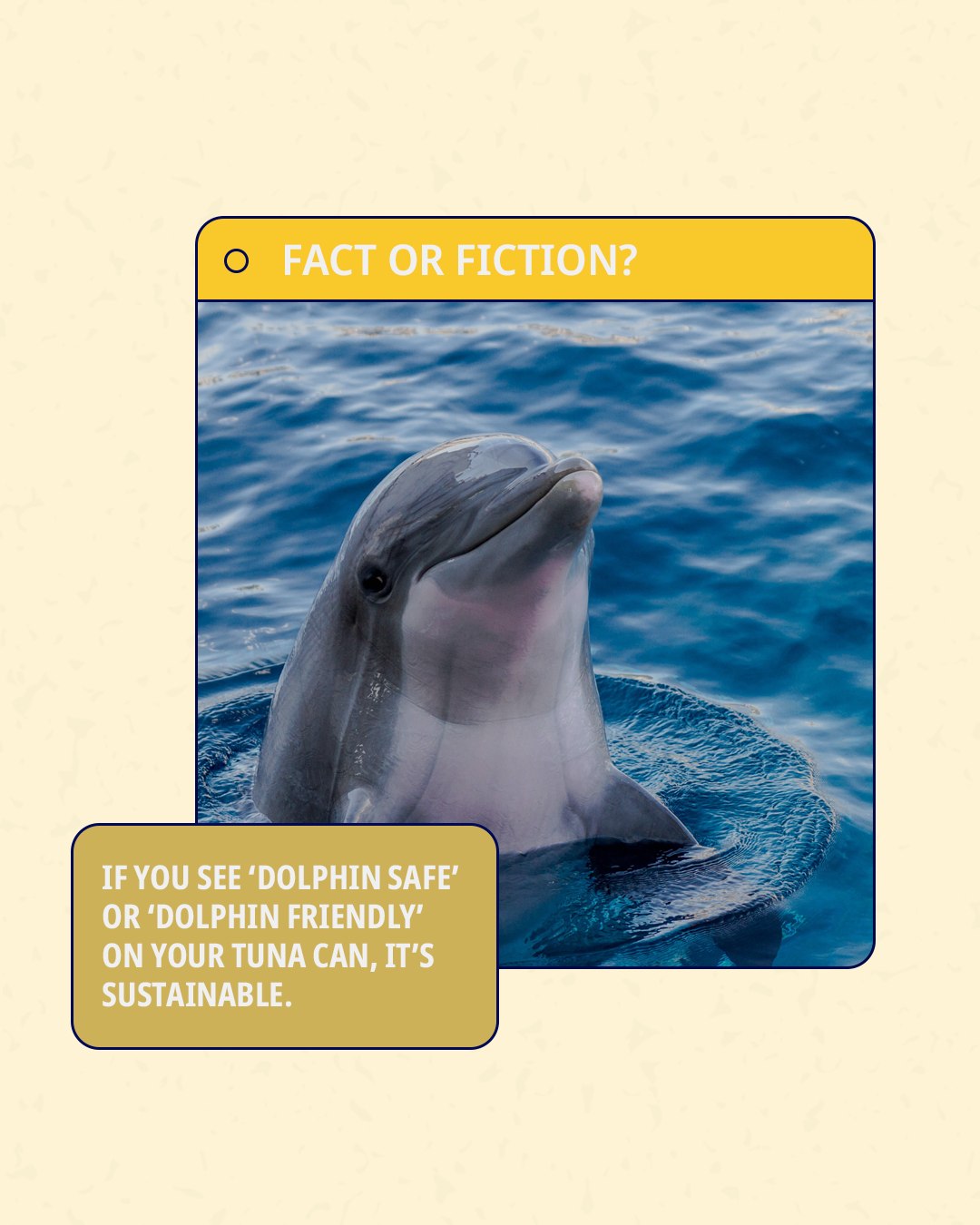 Think all... - Marine Stewardship Council in Australia & NZ | Facebook