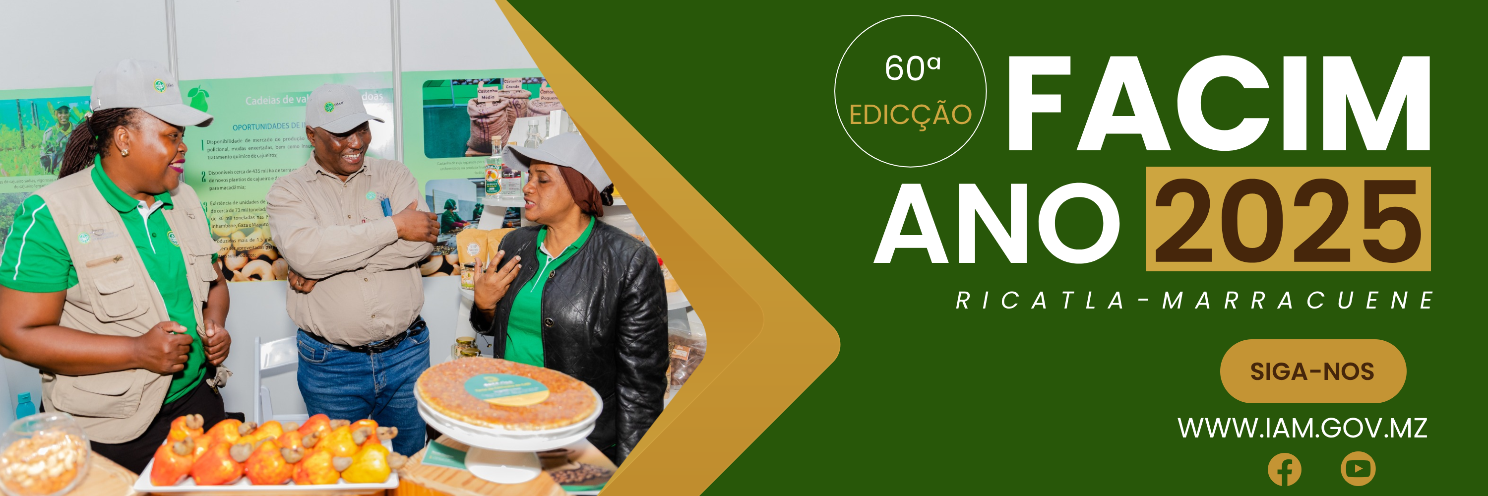 instituto-de-am-ndoas-de-mo-ambique-ip-maputo