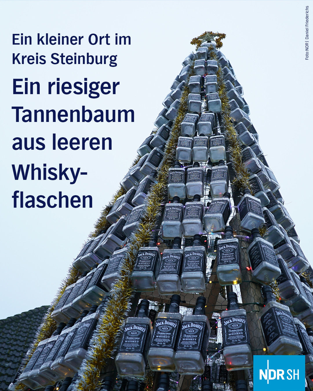 Das ist mal ein Tannenbaum der besonderen Art!🎄