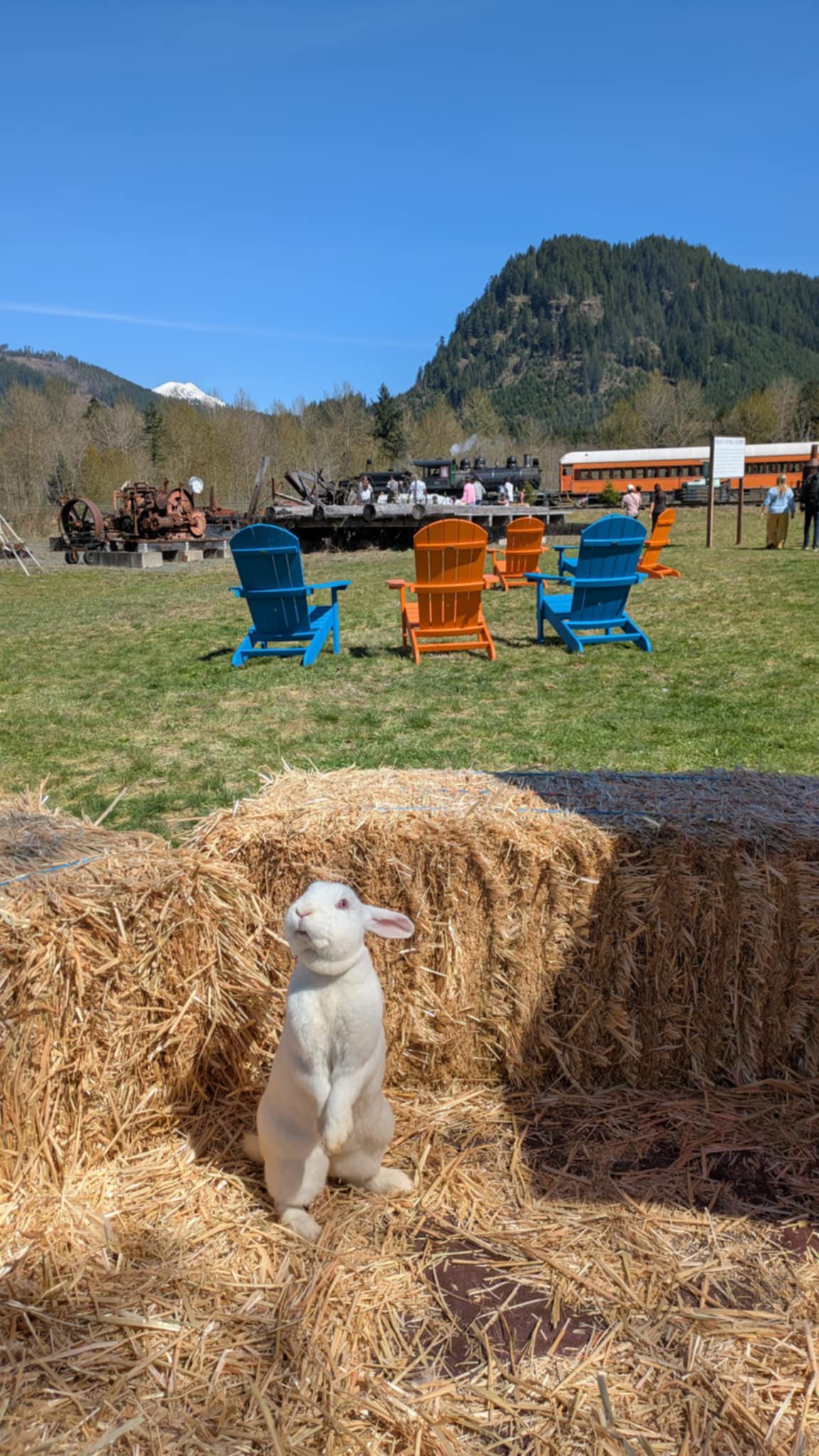 Mt. Rainier Scenic Railroad - Want a fabulous spring or summer ...