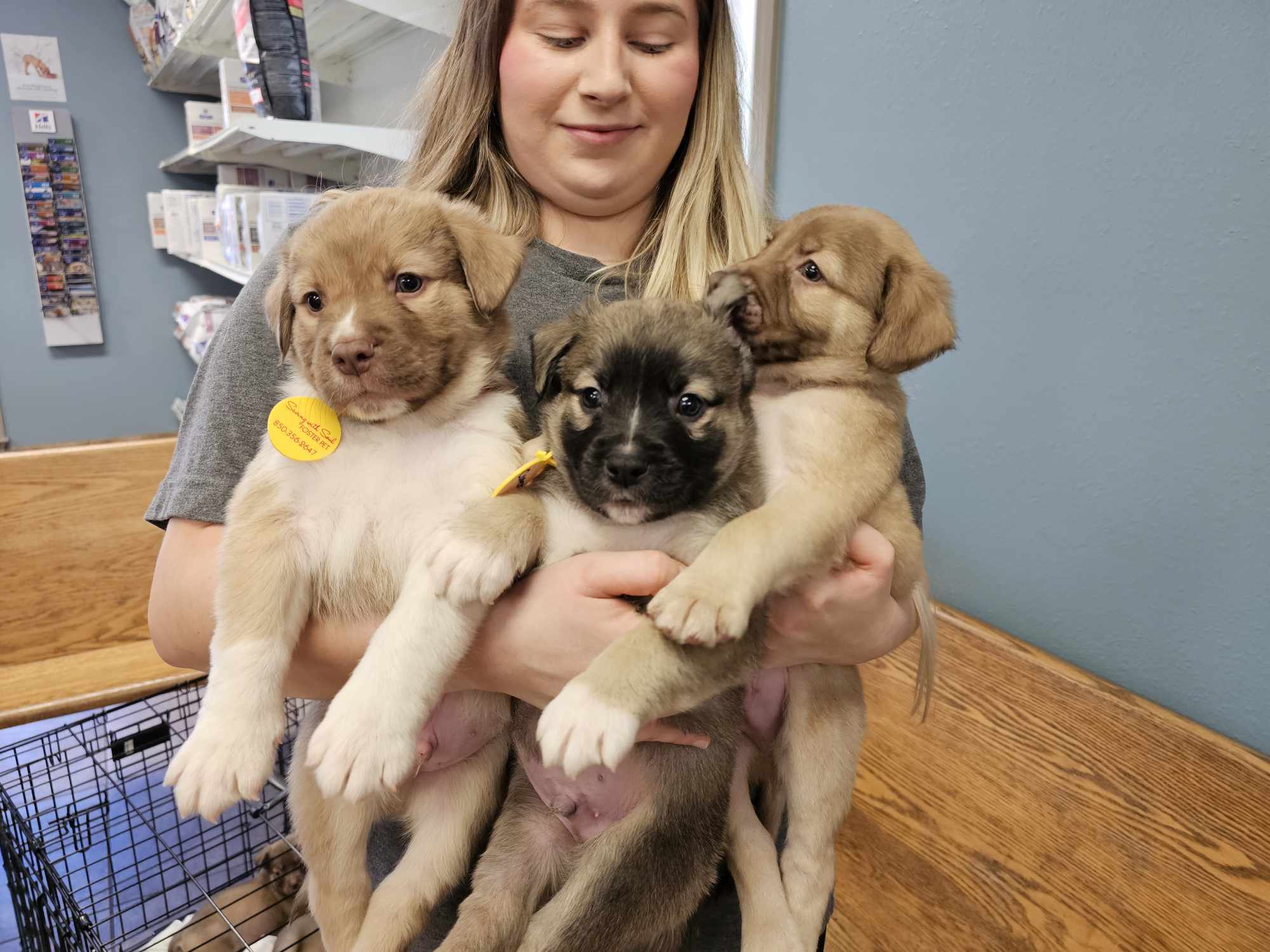 Saving with... - Saving with Soul Pet Rescue of NW Florida