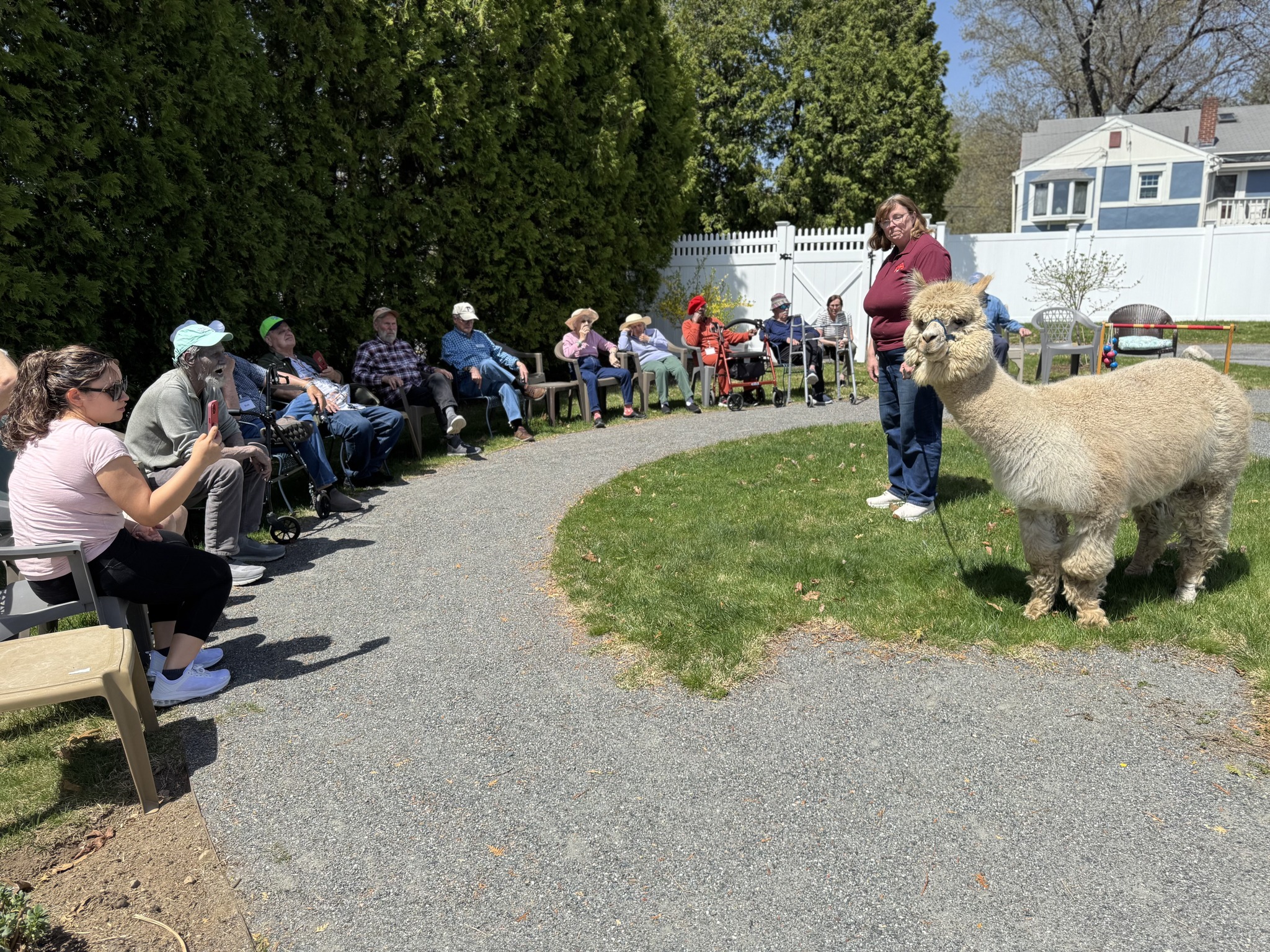 Harvard Alpaca Ranch | Harvard MA