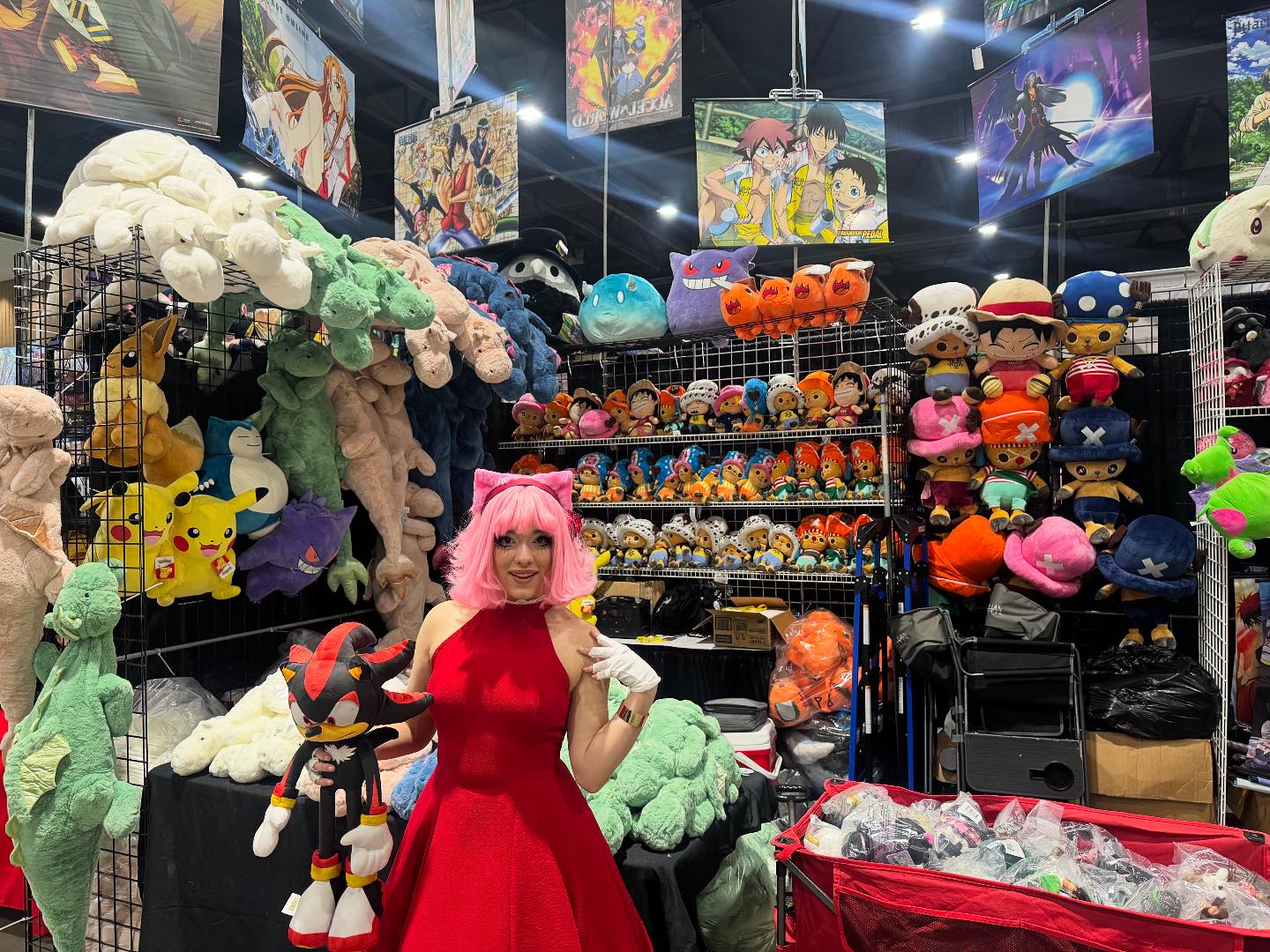 🖤 Meet our newest team! Davy... - White Tiger Collectables | Facebook