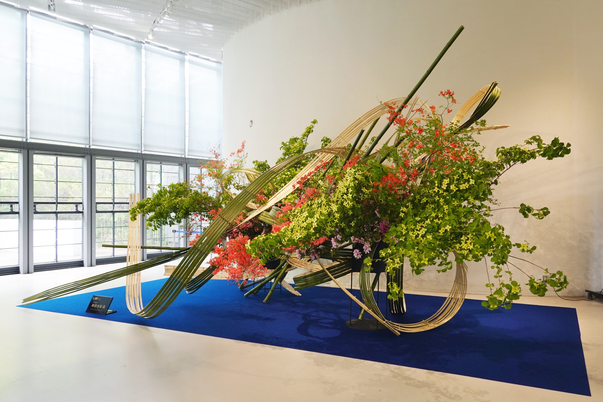 今日から！／ 【開催中】第15回東京西支部展「緑輝き 風薫る」（家元