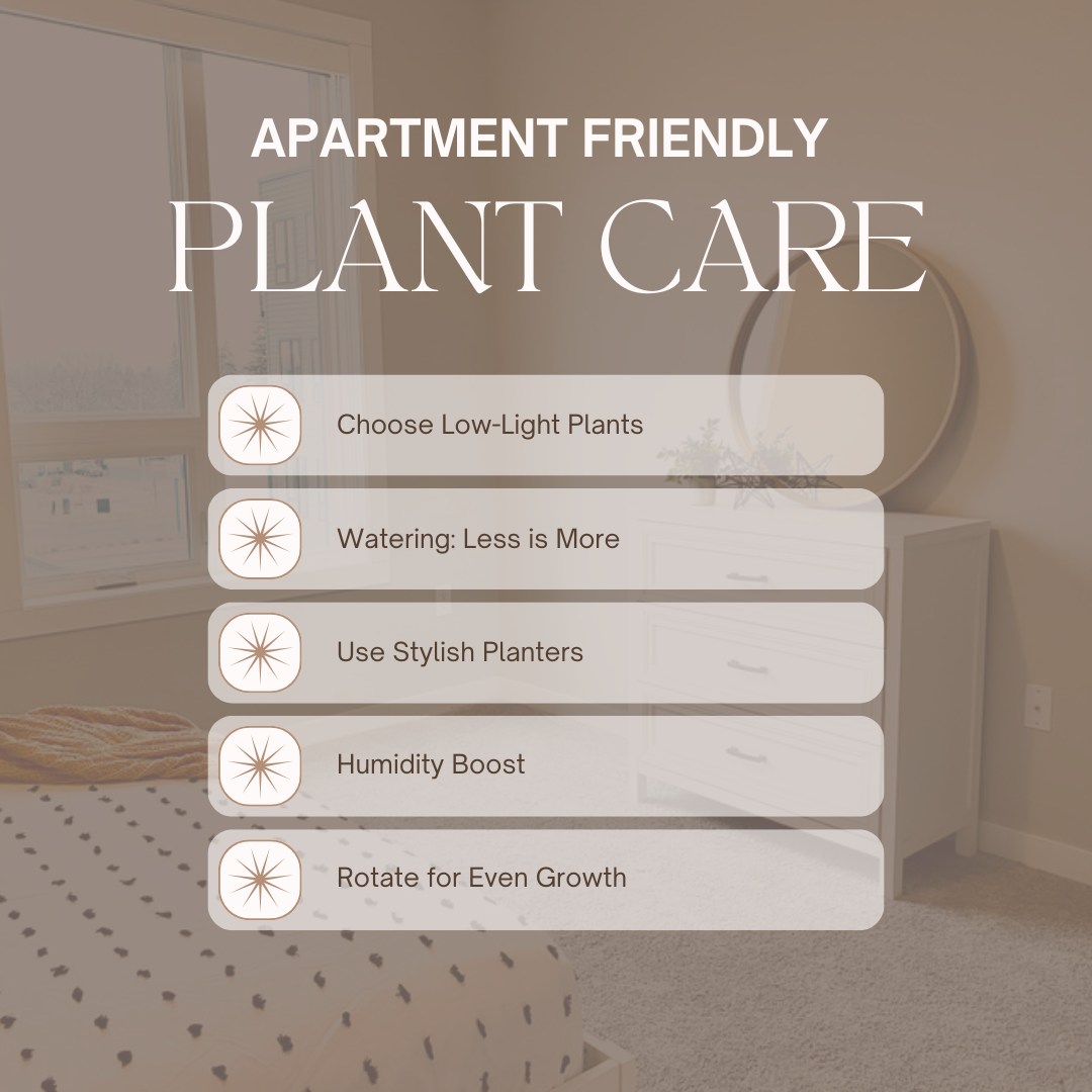 A closer look at Budget Friendly Solutions For Apartment Moisture Control