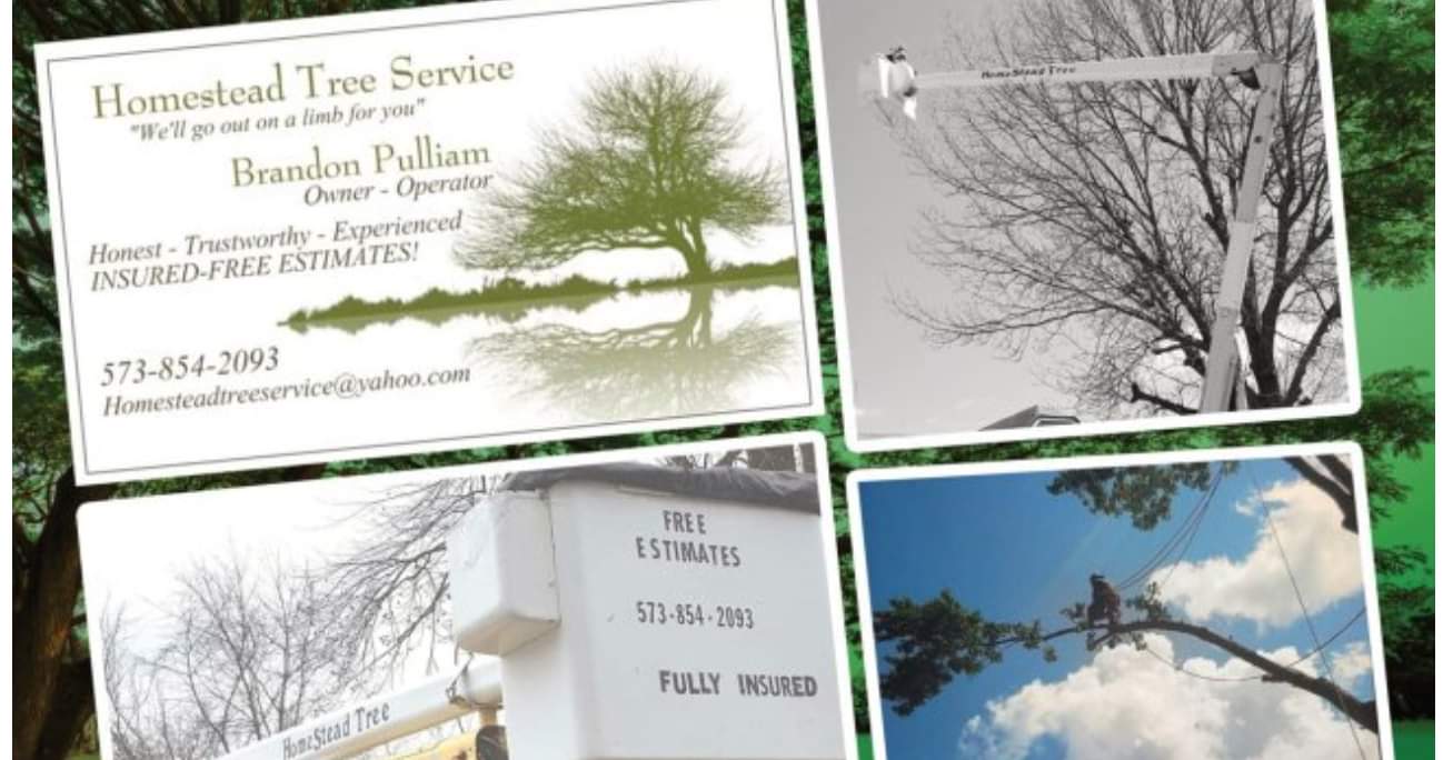 Homestead Tree Service | Belgrade MO
