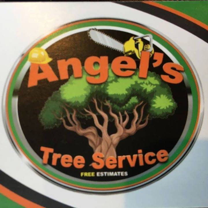 Angel’s Tree Service LLC | Monroe WA