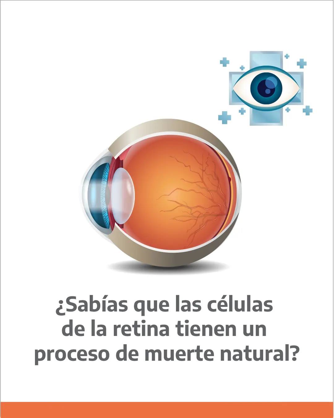 Retigen - 🔴 Como en otras partes del cuerpo, en tus ojos... | Facebook