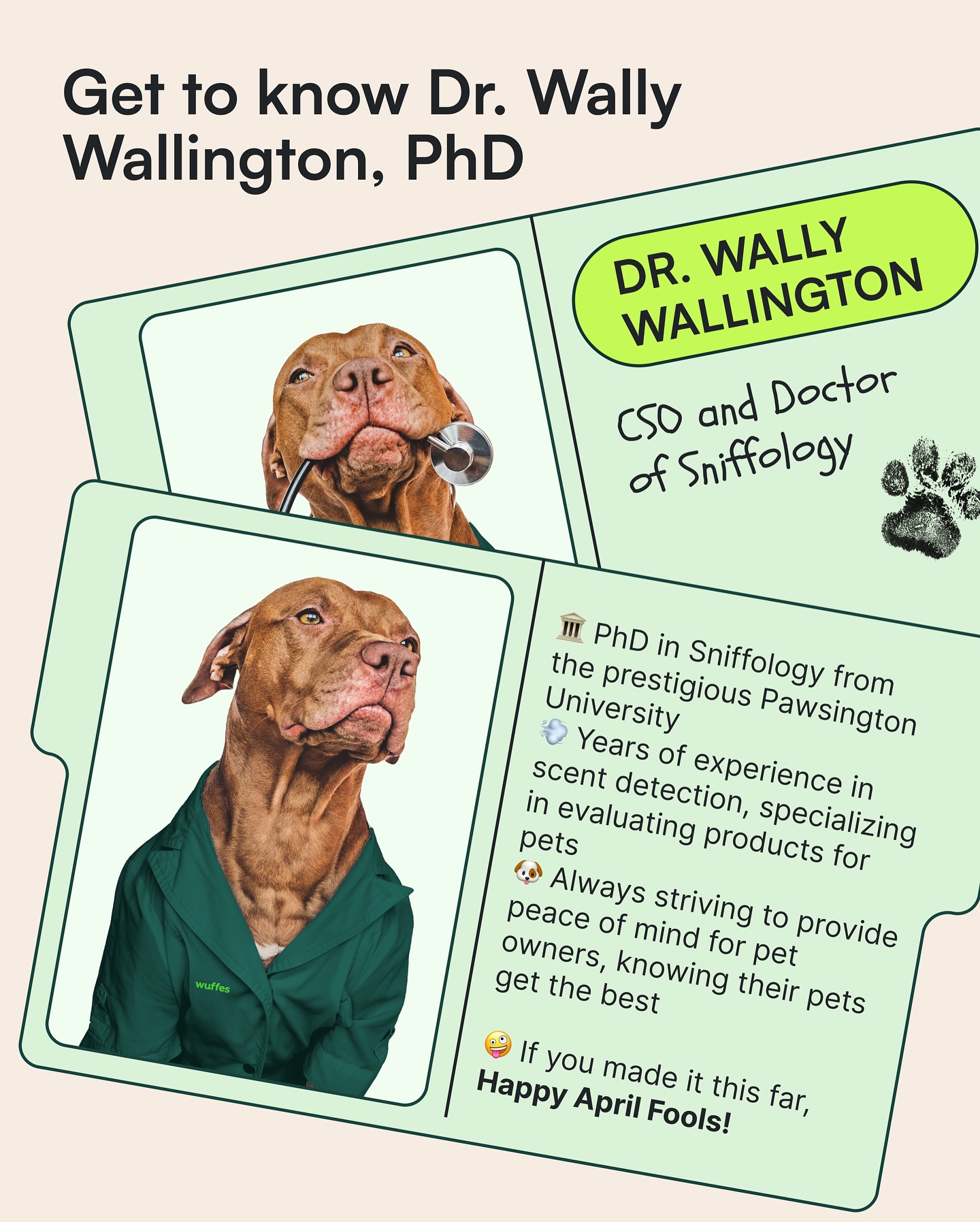 Wuffes - 🚨 Exciting Announcement! 🚨 We’re thrilled to... | Facebook