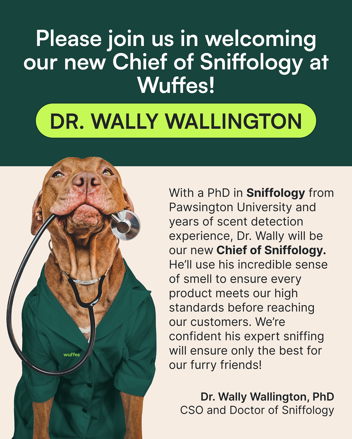 Wuffes - 🚨 Exciting Announcement! 🚨 We’re thrilled to... | Facebook