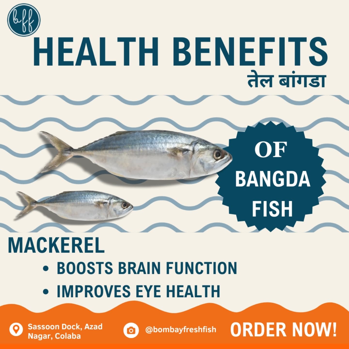 Bombay Fresh Fish | Mumbai