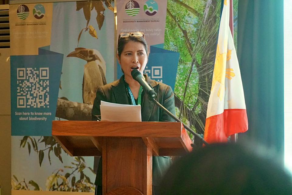 DENR - #DENR6InAction | Opening Program of the four-day consultation ...