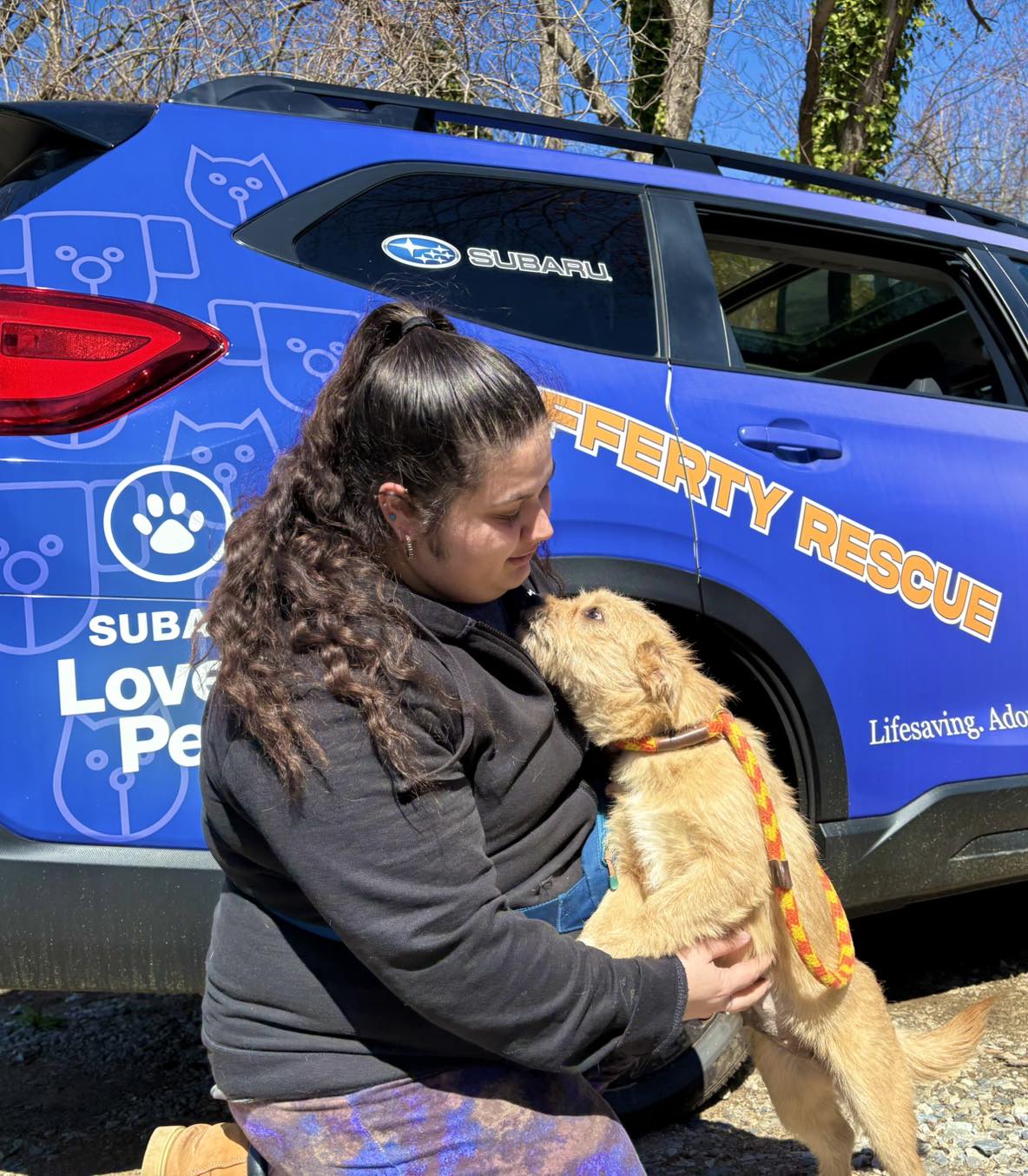Rafferty Subaru | Newtown Square PA