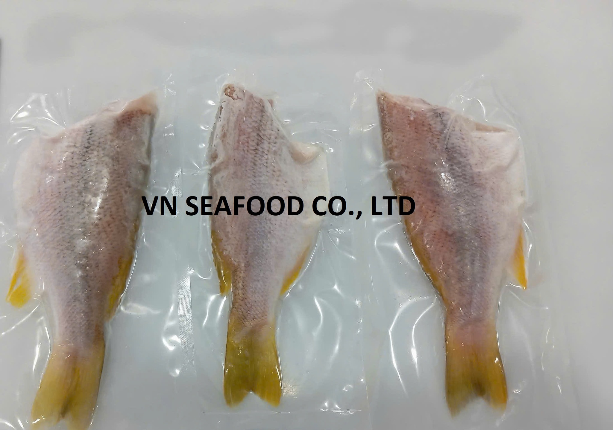 VN Seafood - 🚨 NEW PRODUCT – FROZEN RED SNAPPER 🐟 📍... | Facebook