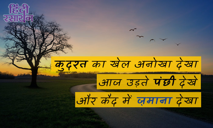 Hindi Rasayan