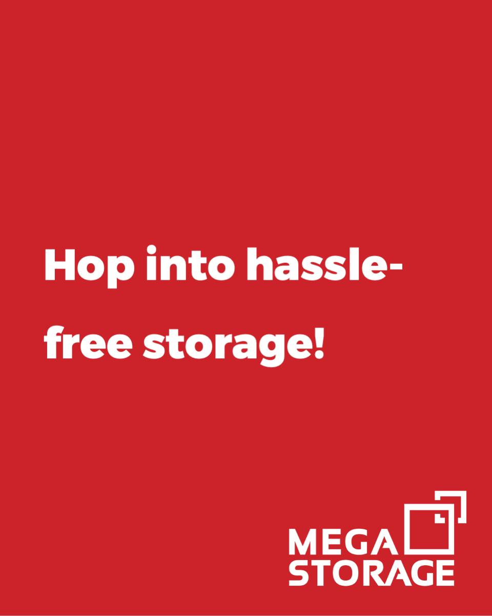 MEGA Storage