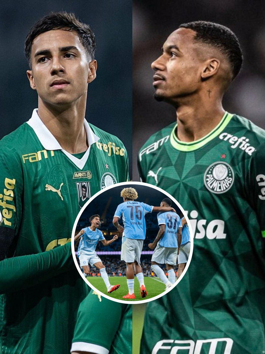 THANK YOU SE Palmeiras 🇧🇷🙏