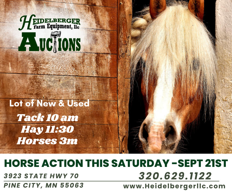 Pine City Championship Rodeo | Pine City MN