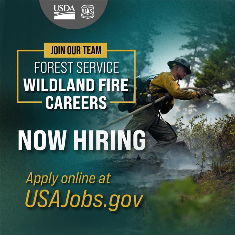 The Forest - 🔥Wildland Fire Positions 🔥 ACCEPTING APPLICATIONS THROUGH ...