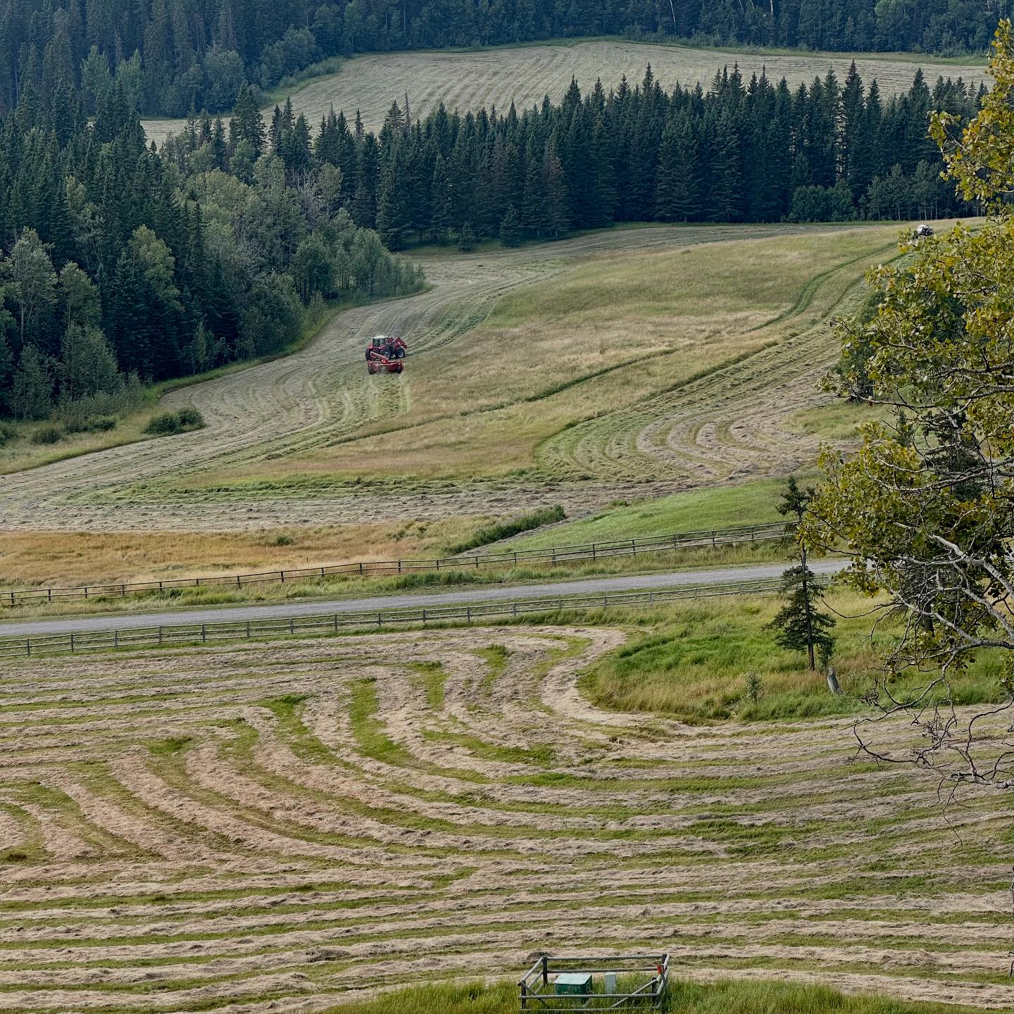 Square Butte Ranch | Millarville AB