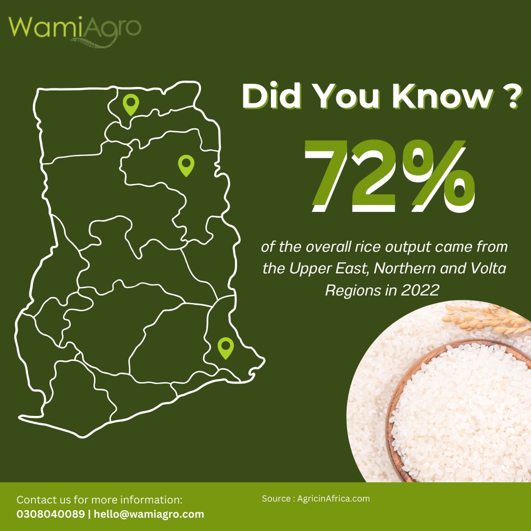 WamiAgro - 👉🏽 Here's a fun fact on rice farming in Ghana: In 2022, the ...