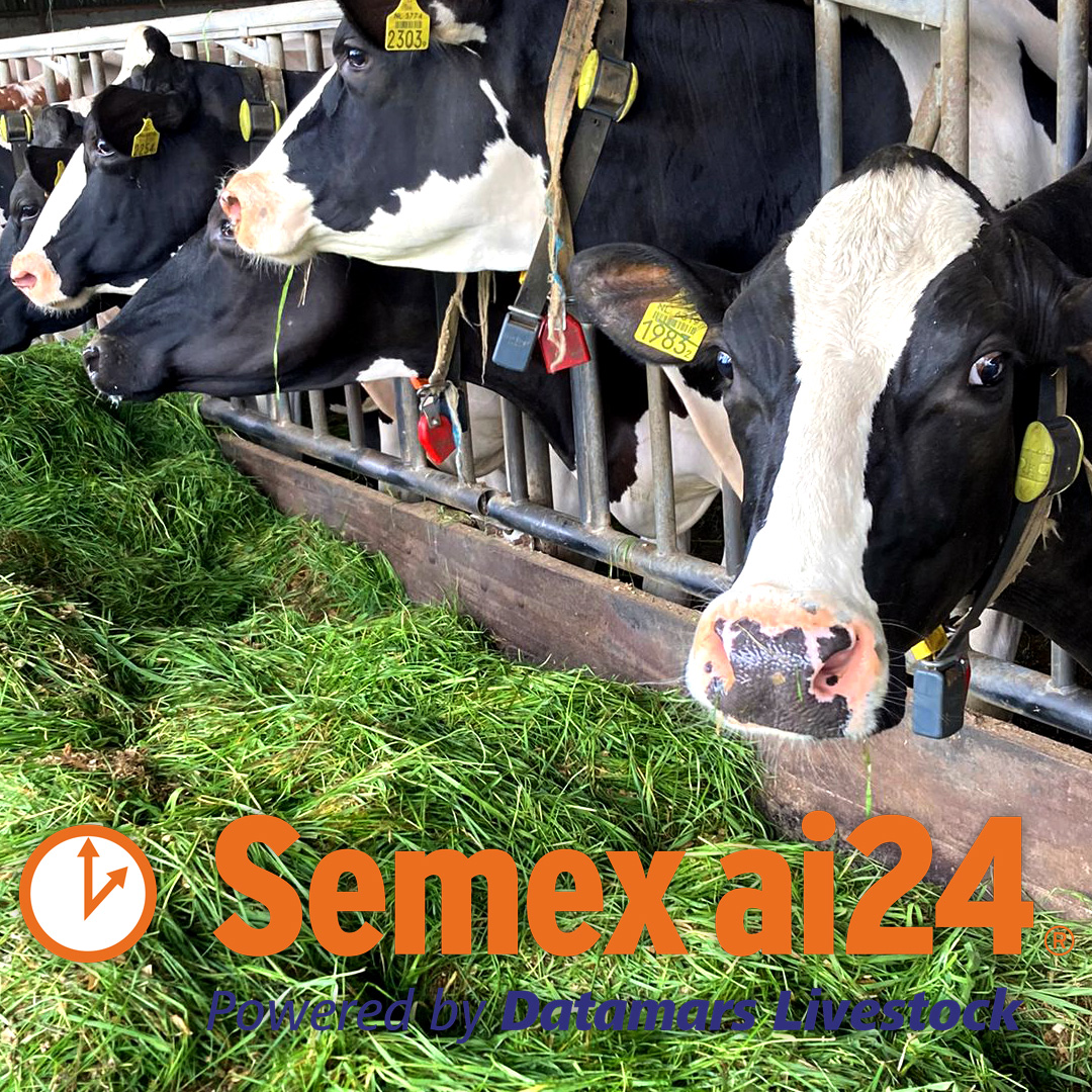 Semex - 𝐒𝐞𝐦𝐞𝐱 𝐚𝐢𝟐𝟒® 🤝 𝐃𝐚𝐭𝐚𝐦𝐚𝐫𝐬 𝐋𝐢𝐯𝐞𝐬𝐭𝐨𝐜𝐤 VOF Berghuis uit Heeten maakt ...