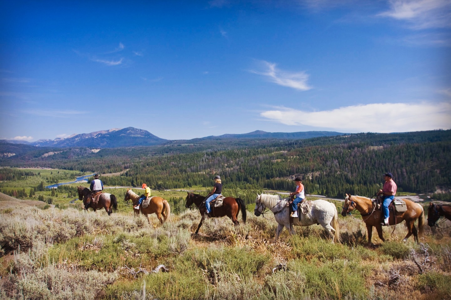 Yellowstone - Are you planning a trip to Yellowstone Park or Jackson ...