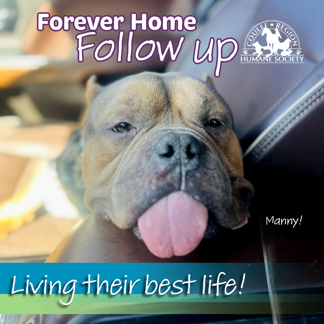 Coulee Region Humane... - Coulee Region Humane Society